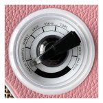 Amplificador Mooer Hornet Pink Para Guitarra De 15w Dh03 - Imagen 2