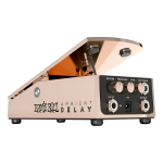 Ernie Ball Pedal Expresión Ambient Delay P/guitarra P06184