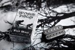 Microfono Guitarra Seymour Duncan Black Winter Hb Neck - Imagen 3