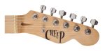 Pack Guitarra Telecaster Y Amplificador Creep Completo Funda - Imagen 5