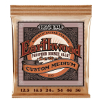 Cuerda De Guitarra Ernie Ball 012.5 Earthwood Phosphor Bronze