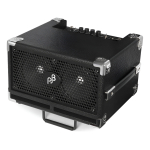 Combo De Bajo Phil Jones Bass Cub Ii Bg110 Digital 110w 2x5