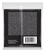 Cuerda De Guitarra Ernie Ball 2246 Regular Slinky 0.10 - Imagen 5