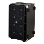 Amplificador P/ Bajo 800w Phil Jones Piranha Compact 8 Negro